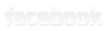 vizteck facebook